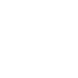 coccinelle