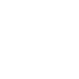 desigual