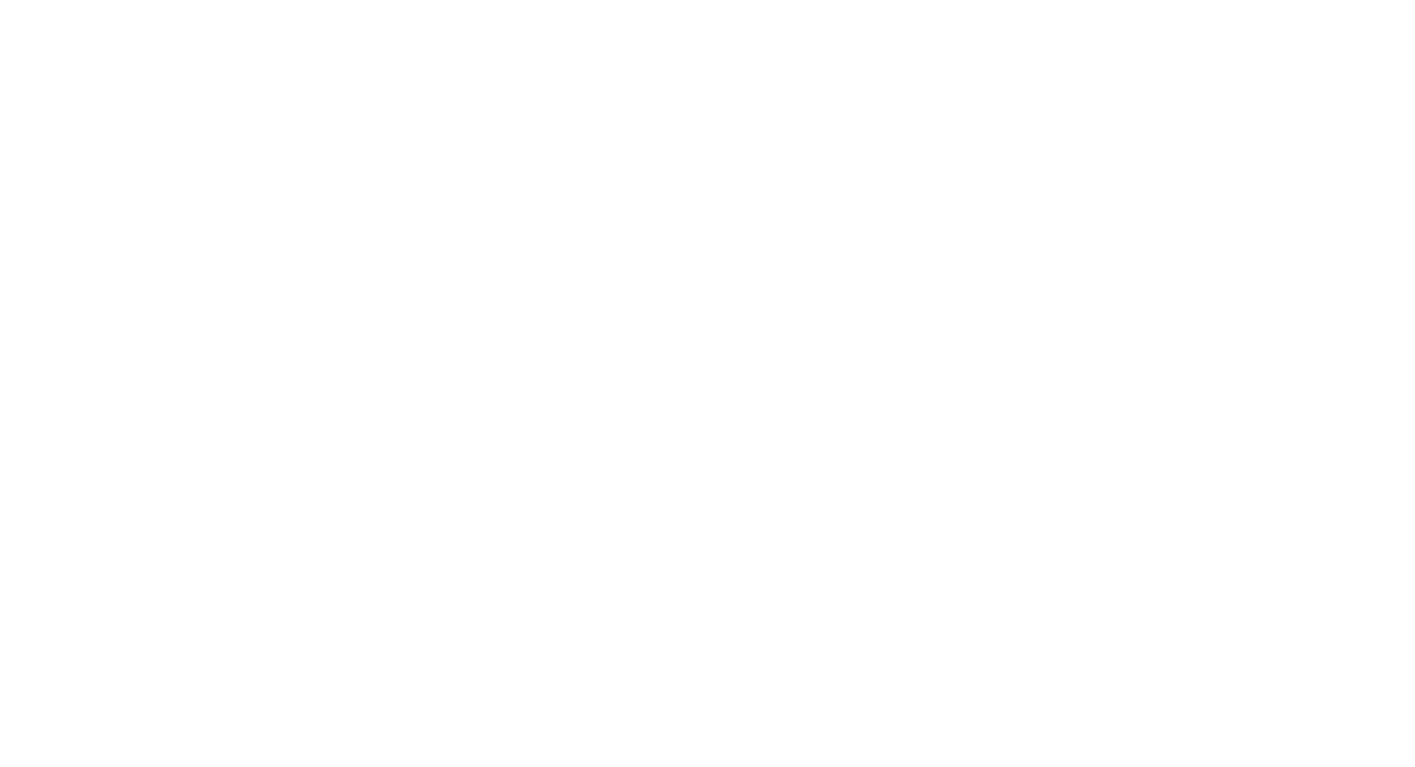 logo Flyone