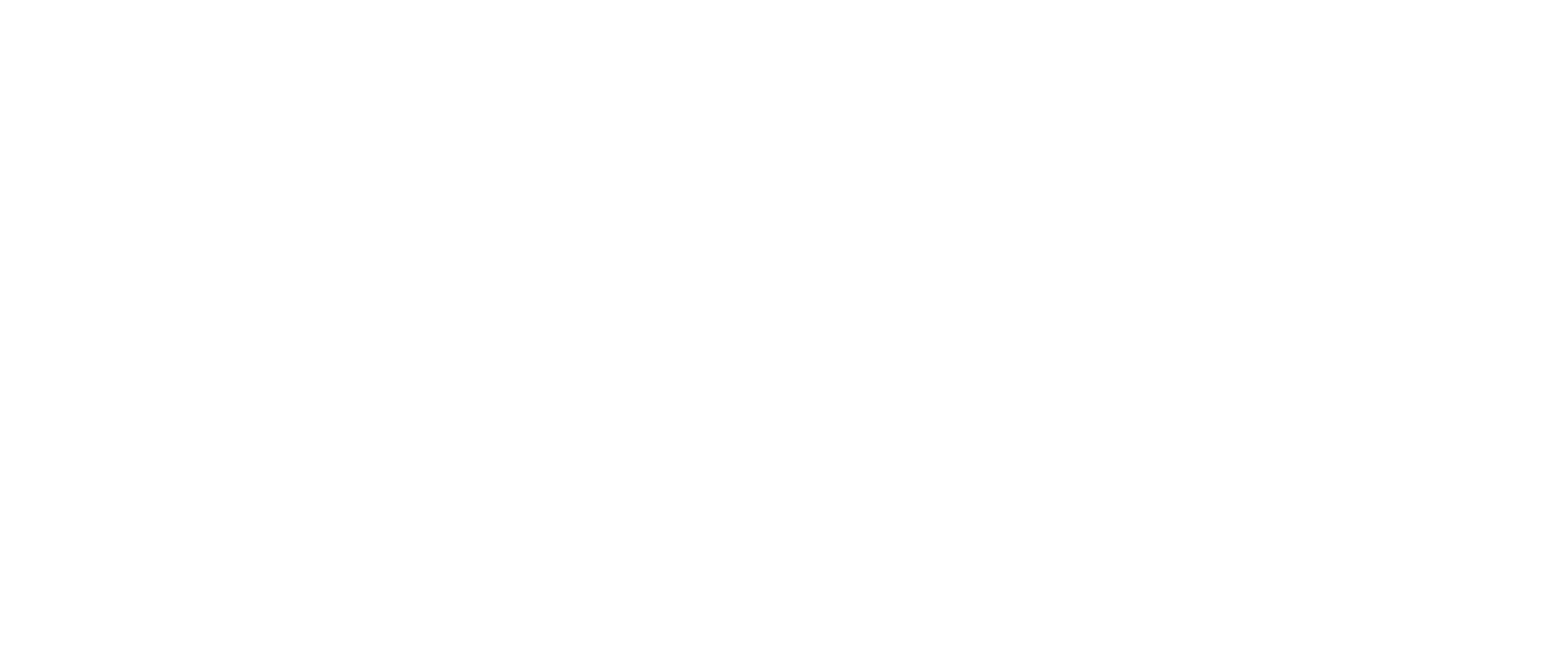 Logo Ethiopian